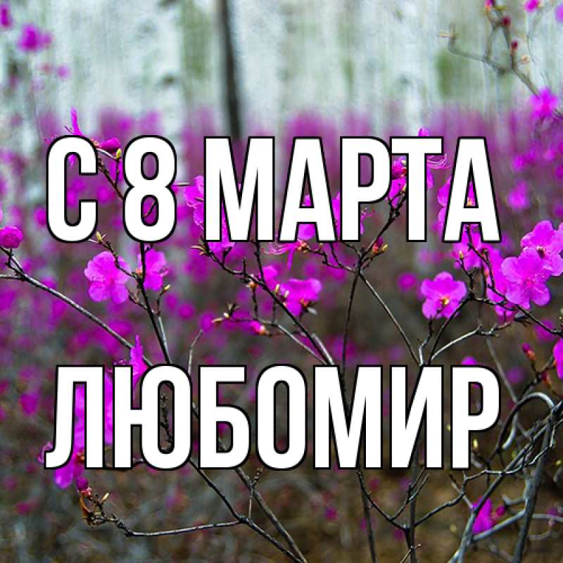 Картинка C 8 МАРТА, Любомир
