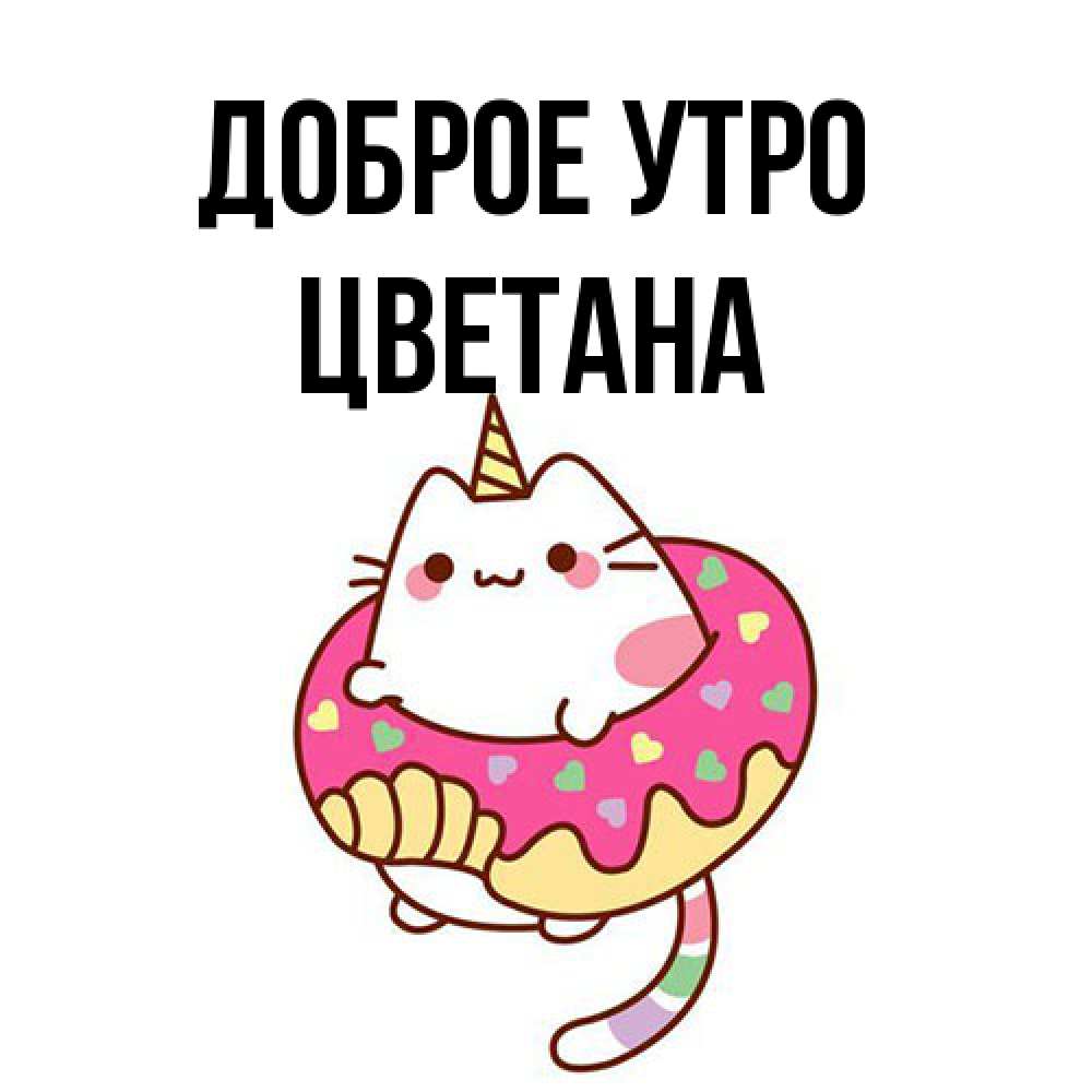 Открытка на каждый день с именем, Цветана Доброе утро кот в бублике Прикольная открытка с пожеланием онлайн скачать бесплатно 