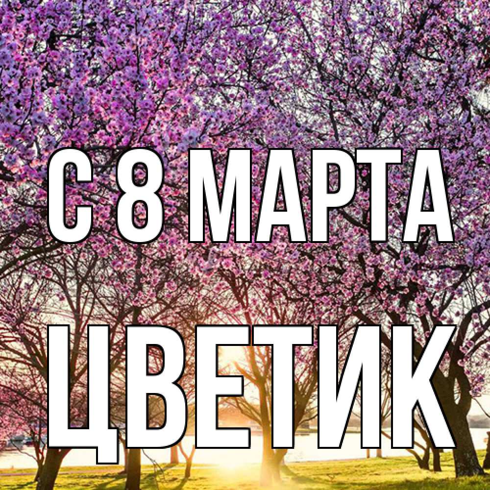Открытка на каждый день с именем, цветик C 8 МАРТА международный женский день Прикольная открытка с пожеланием онлайн скачать бесплатно 