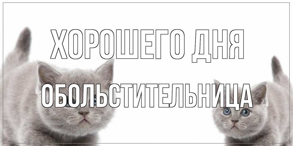 Открытка на каждый день с именем, обольстительница Хорошего дня открытка с котами Прикольная открытка с пожеланием онлайн скачать бесплатно 