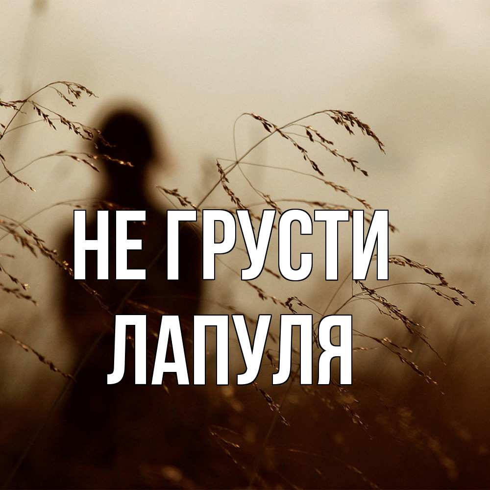 Открытка на каждый день с именем, Лапуля Не грусти грусть Прикольная открытка с пожеланием онлайн скачать бесплатно 