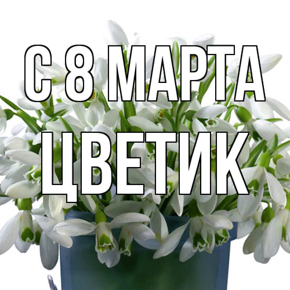 Открытка на каждый день с именем, цветик C 8 МАРТА цветы к международному женскому дню Прикольная открытка с пожеланием онлайн скачать бесплатно 