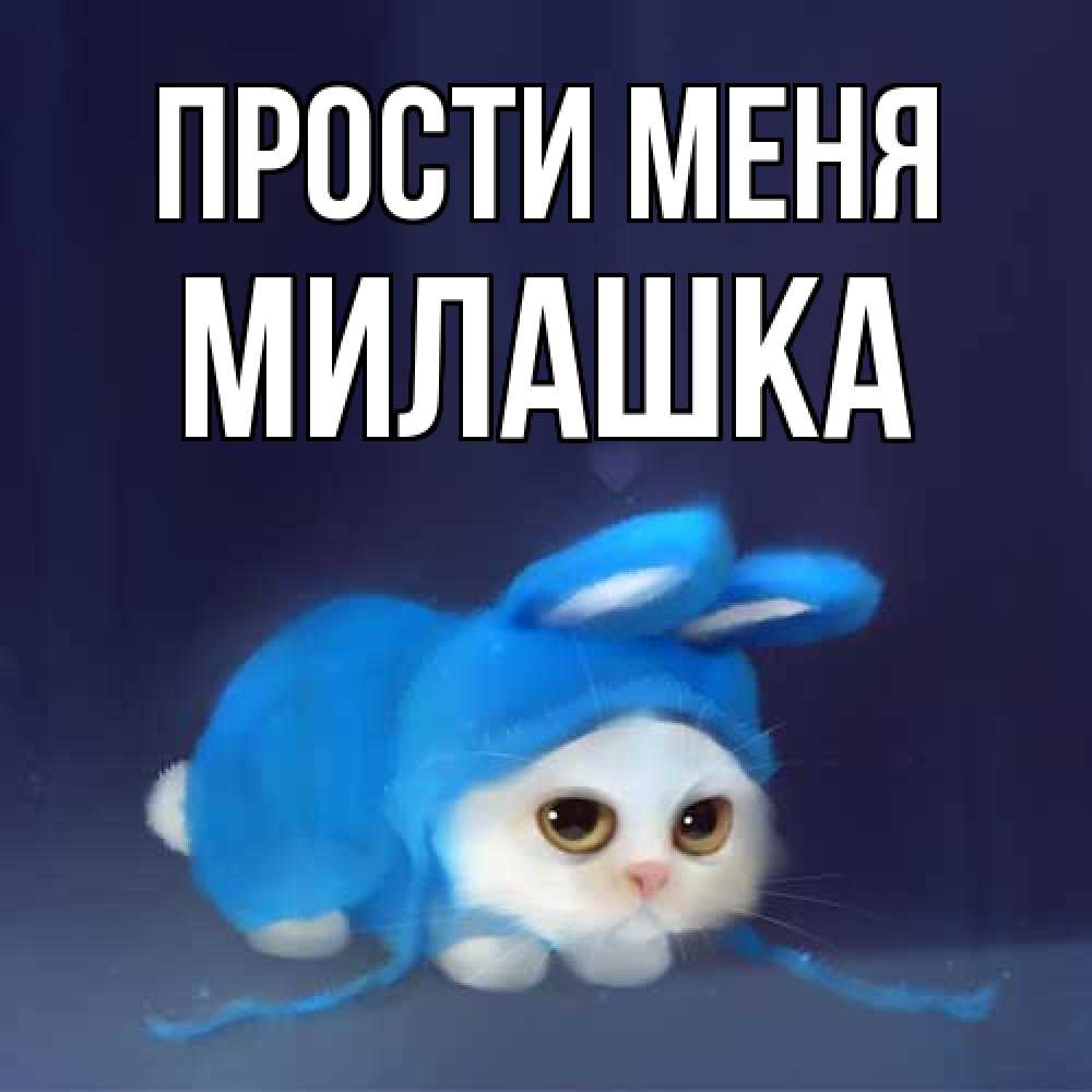 Открытка на каждый день с именем, Милашка Прости меня невинный котозай просит прощения Прикольная открытка с пожеланием онлайн скачать бесплатно 