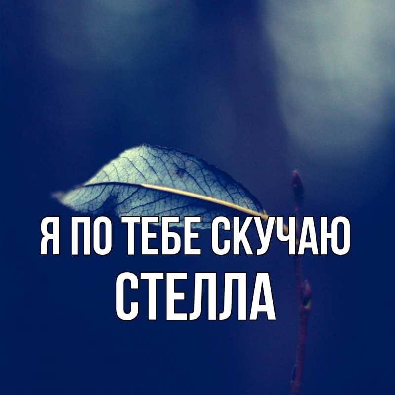 Картинка Я по тебе скучаю, Стелла