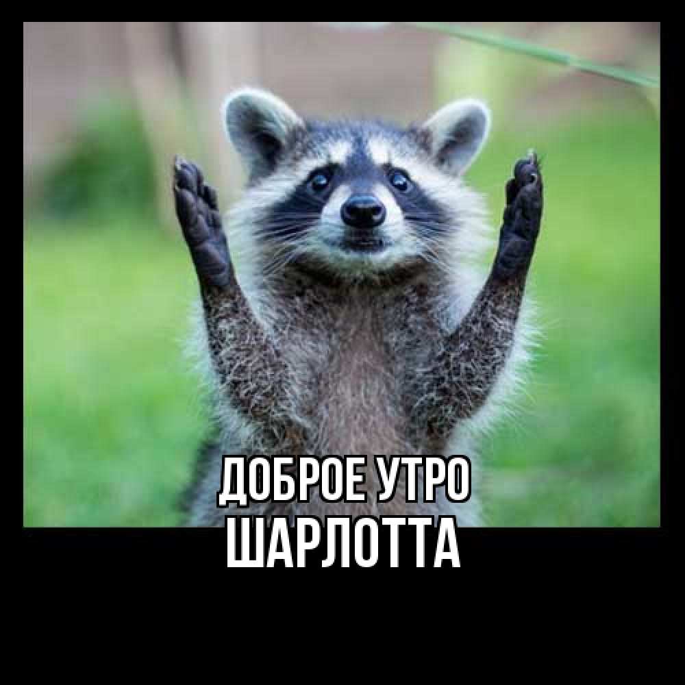 Открытка на каждый день с именем, Шарлотта Доброе утро хорошее настроение утречком Прикольная открытка с пожеланием онлайн скачать бесплатно 