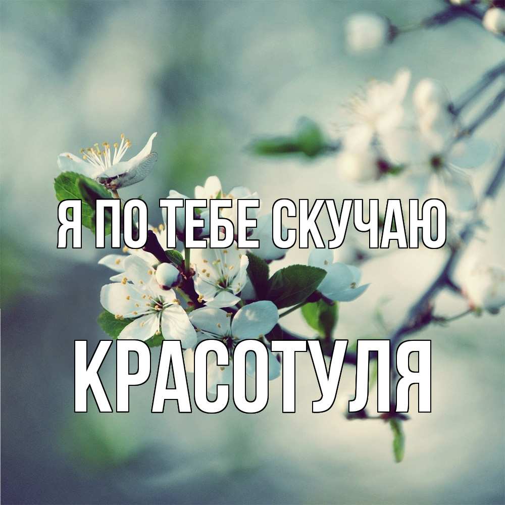 Открытка на каждый день с именем, Красотуля Я по тебе скучаю весна Прикольная открытка с пожеланием онлайн скачать бесплатно 