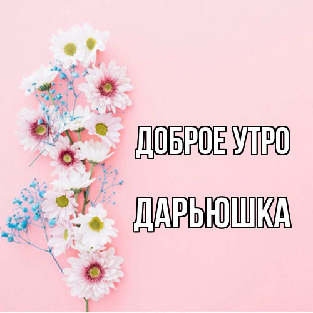 Открытка на каждый день с именем, Дарьюшка Доброе утро цветы с подписью Прикольная открытка с пожеланием онлайн скачать бесплатно 