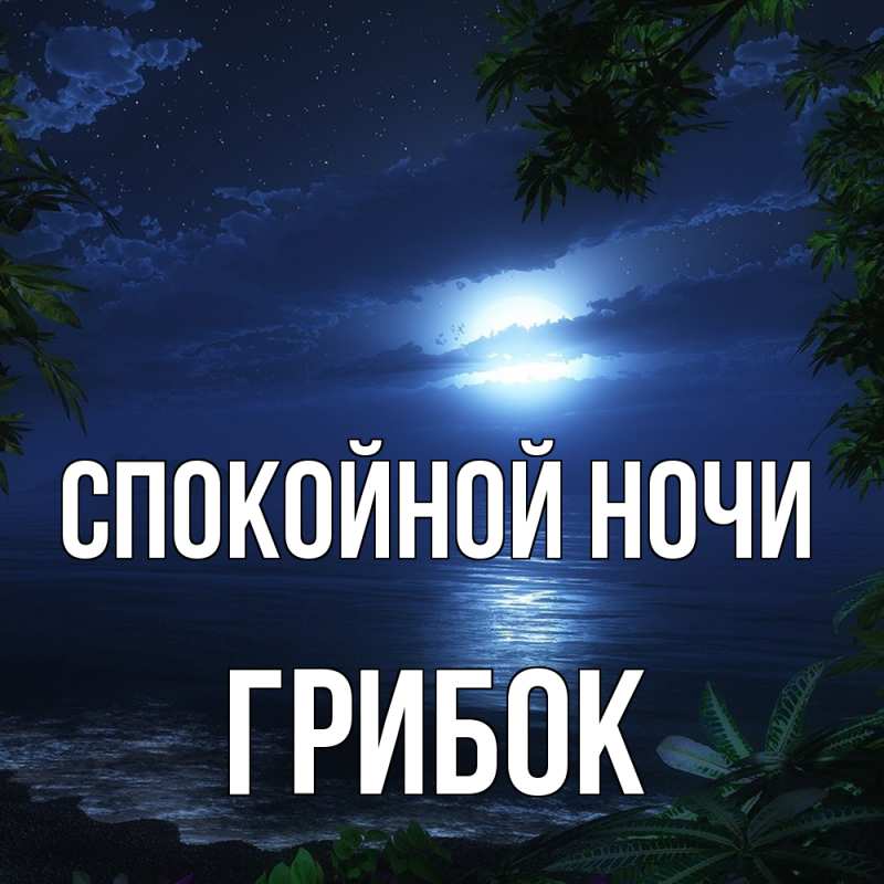 Картинка Спокойной ночи, Грибок