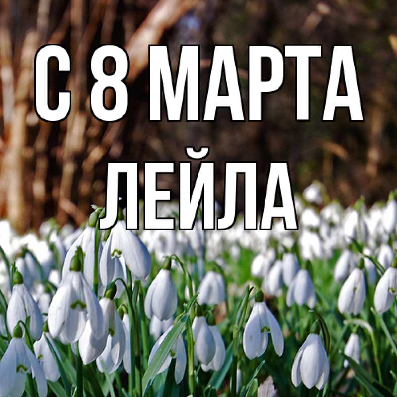 Картинка C 8 МАРТА, Лейла