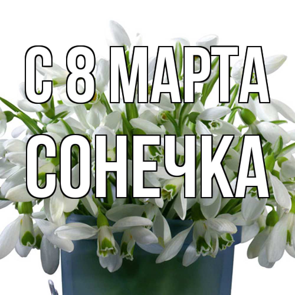 Открытка на каждый день с именем, Сонечка C 8 МАРТА цветы к международному женскому дню Прикольная открытка с пожеланием онлайн скачать бесплатно 
