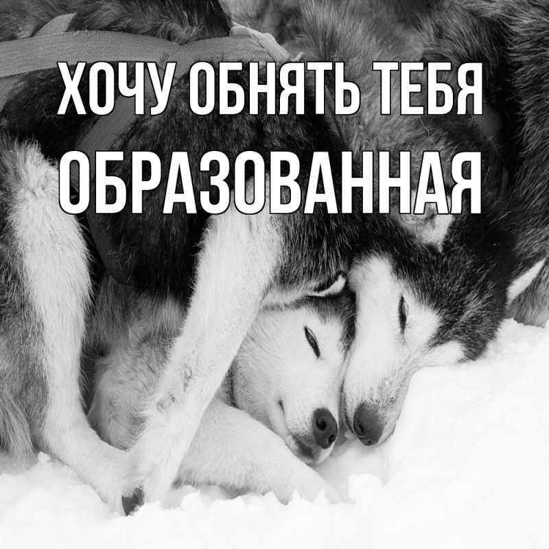 Картинка Хочу обнять тебя, Образованная