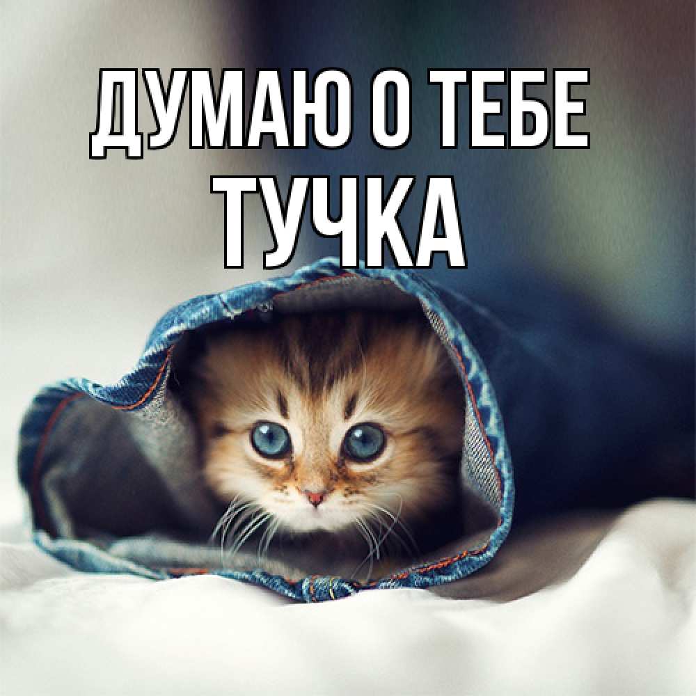 Открытка на каждый день с именем, Тучка Думаю о тебе мне без тебя плохо Прикольная открытка с пожеланием онлайн скачать бесплатно 