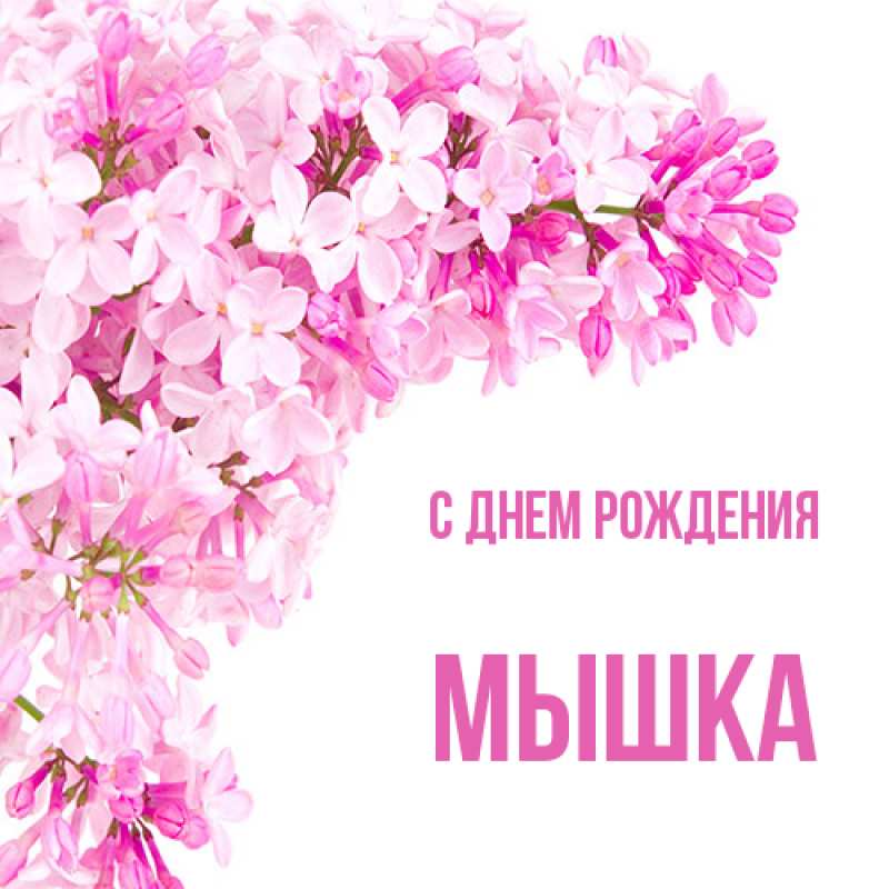 Картинка С днем рождения, Мышка