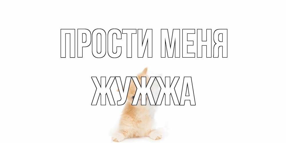 Открытка на каждый день с именем, Жужжа Прости меня кот Прикольная открытка с пожеланием онлайн скачать бесплатно 