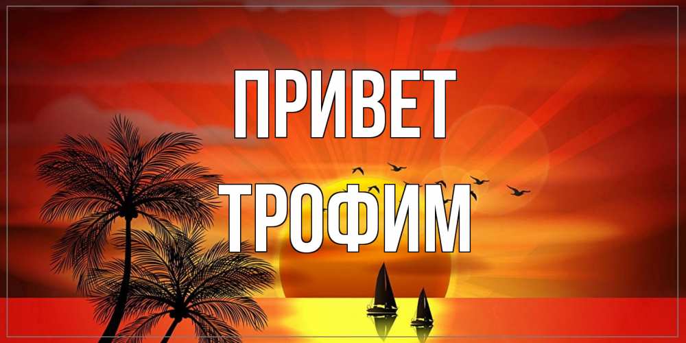 Открытка на каждый день с именем, Трофим Привет привет Прикольная открытка с пожеланием онлайн скачать бесплатно 