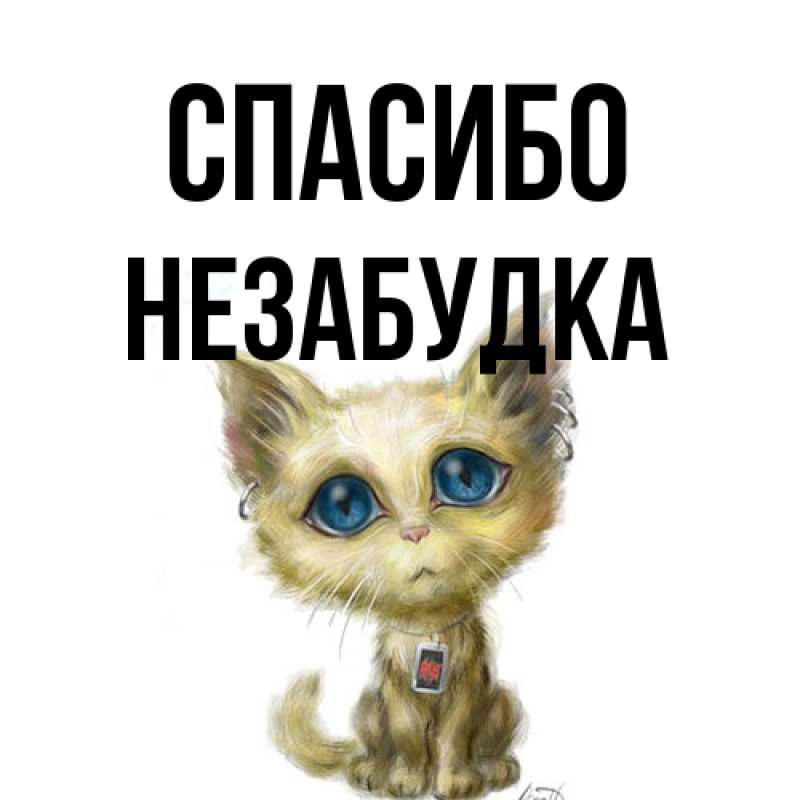 Открытка с именем, Незабудка, Спасибо