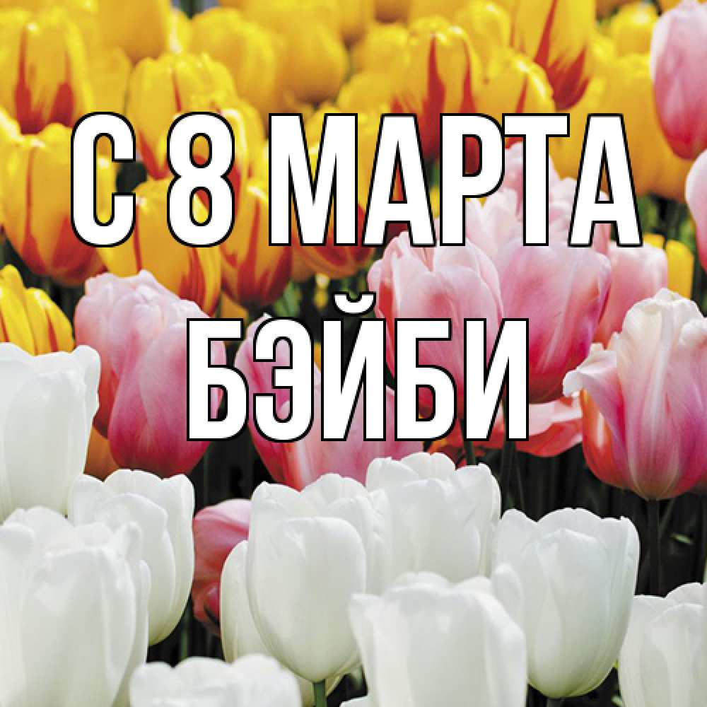 Открытка на каждый день с именем, бэйби C 8 МАРТА разноцветные цветы Прикольная открытка с пожеланием онлайн скачать бесплатно 