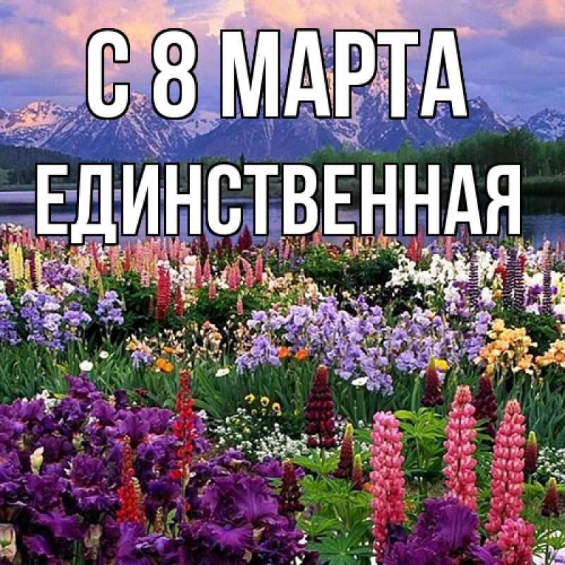 Картинка C 8 МАРТА, Единственная