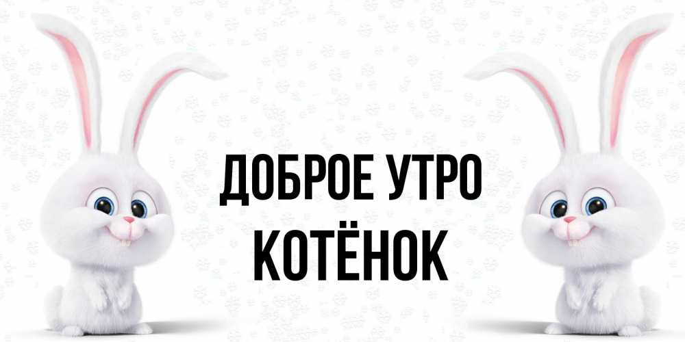 Открытка на каждый день с именем, Котёнок Доброе утро кролики с длинными ушками Прикольная открытка с пожеланием онлайн скачать бесплатно 
