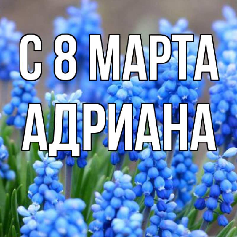 Картинка C 8 МАРТА, Адриана
