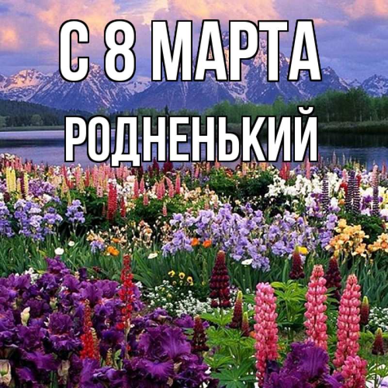 Картинка C 8 МАРТА, Родненький