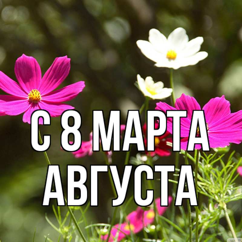 Картинка C 8 МАРТА, Августа
