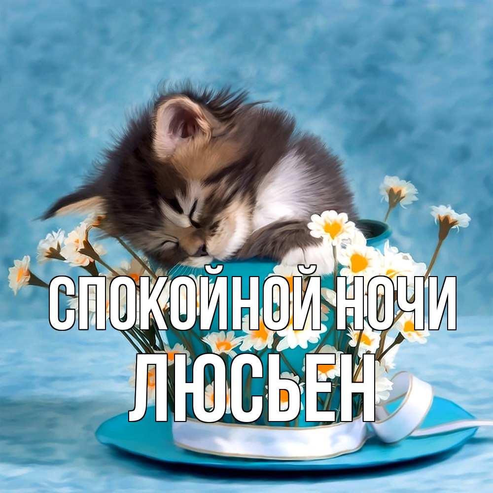 Открытка на каждый день с именем, Люсьен Спокойной ночи котенок спит в кружке с блюдцем Прикольная открытка с пожеланием онлайн скачать бесплатно 