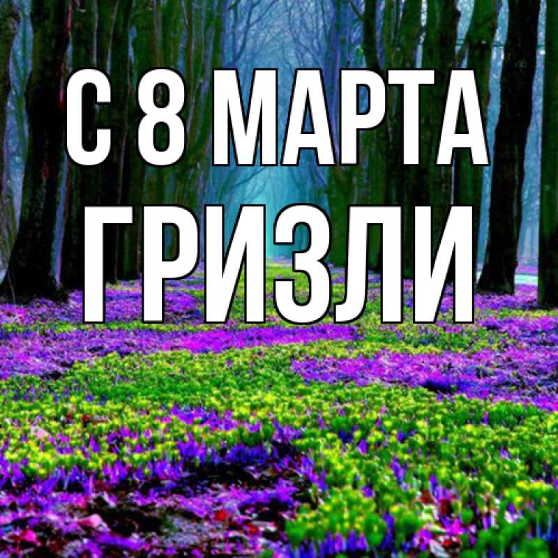 Картинка C 8 МАРТА, Гризли