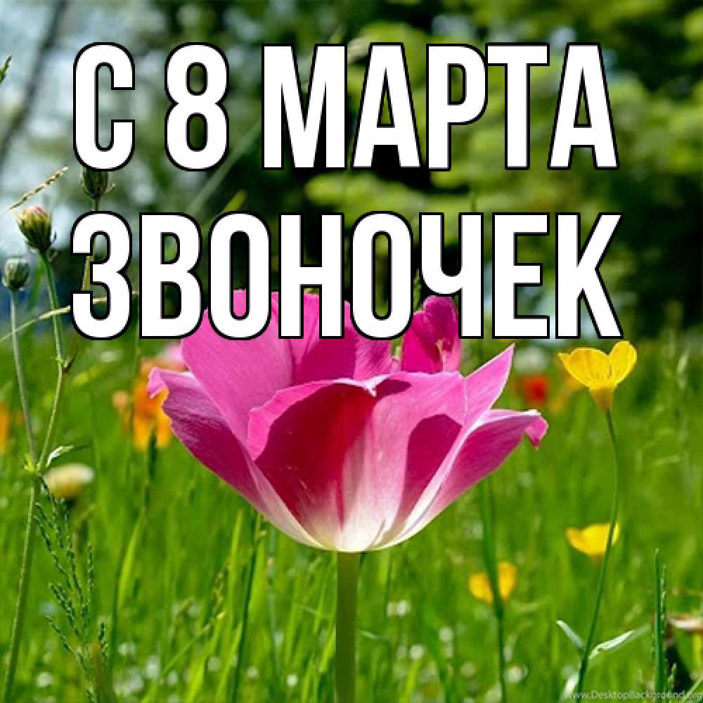Открытка на каждый день с именем, Звоночек C 8 МАРТА полевые цветы Прикольная открытка с пожеланием онлайн скачать бесплатно 