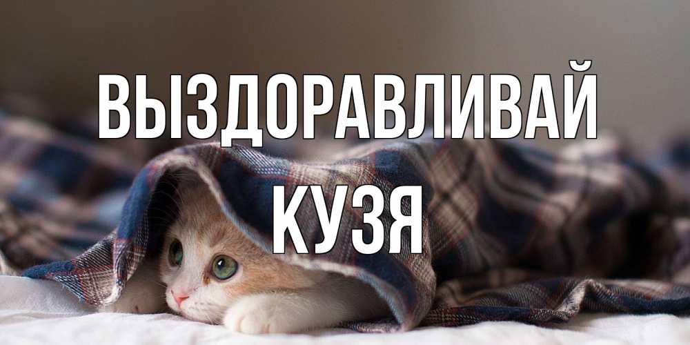 Открытка на каждый день с именем, Кузя Выздоравливай не болейте с котиком Прикольная открытка с пожеланием онлайн скачать бесплатно 
