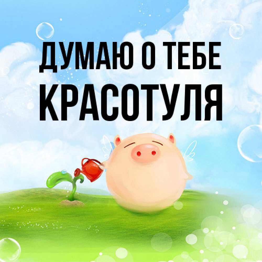 Открытка на каждый день с именем, Красотуля Думаю о тебе позитивная свинюшка Прикольная открытка с пожеланием онлайн скачать бесплатно 