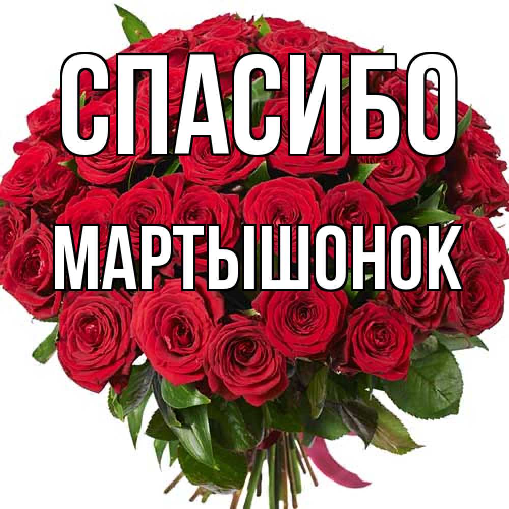 Открытка на каждый день с именем, Маpтышонок Спасибо букет красных роз Прикольная открытка с пожеланием онлайн скачать бесплатно 