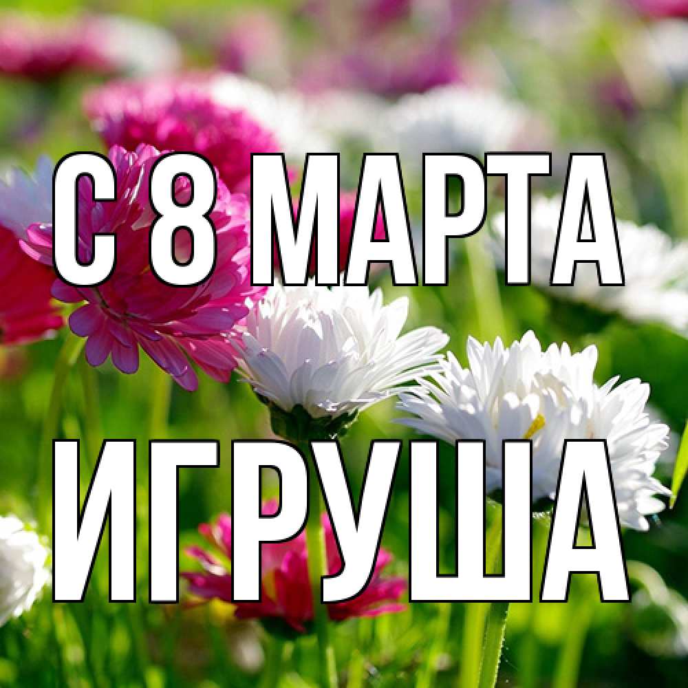 Открытка на каждый день с именем, Игруша C 8 МАРТА международный женский день 1 Прикольная открытка с пожеланием онлайн скачать бесплатно 