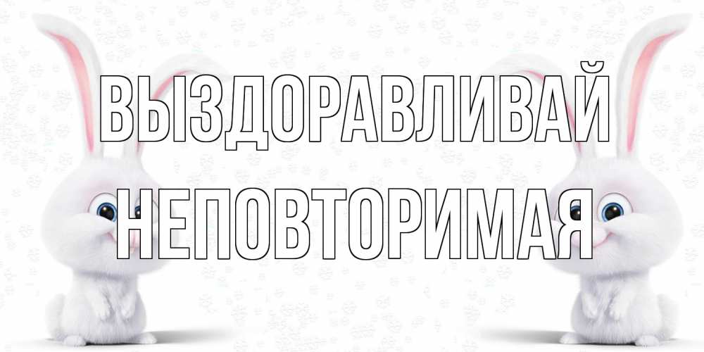 Открытка на каждый день с именем, Неповторимая Выздоравливай не болей с зайцем Прикольная открытка с пожеланием онлайн скачать бесплатно 