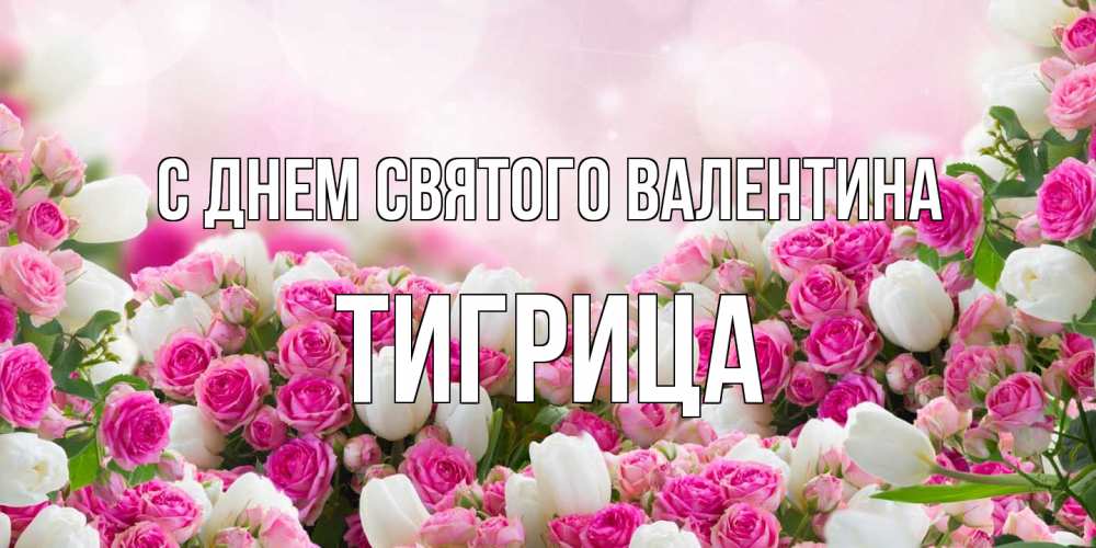 Открытка на каждый день с именем, Тигрица С днем Святого Валентина валентинка с именем Прикольная открытка с пожеланием онлайн скачать бесплатно 