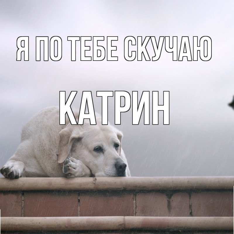 Открытка с именем, Катрин, Я по тебе скучаю