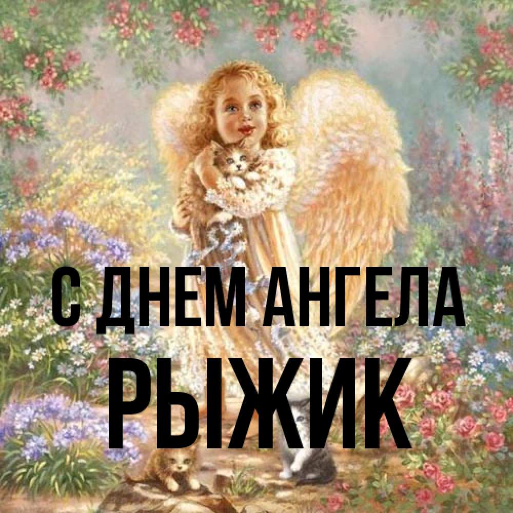 Открытка на каждый день с именем, рыжик С днем ангела держит котенка Прикольная открытка с пожеланием онлайн скачать бесплатно 