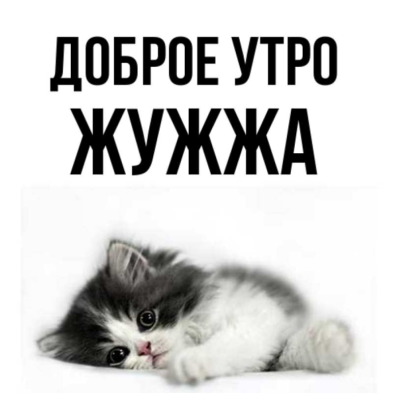 Картинка Доброе утро, Жужжа