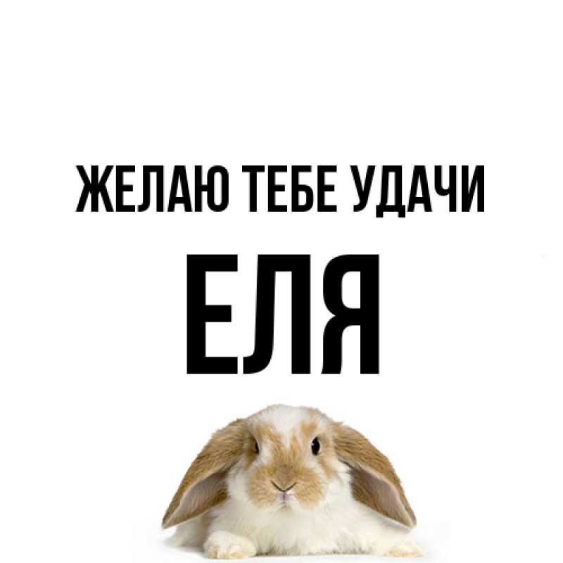 Открытка с именем, Еля, Желаю тебе удачи
