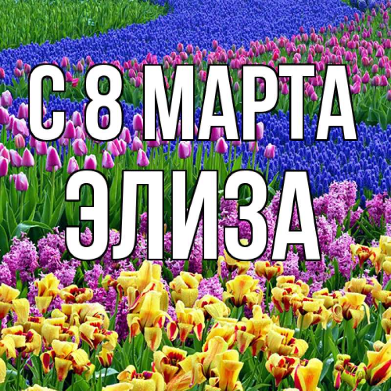 Картинка C 8 МАРТА, Элиза