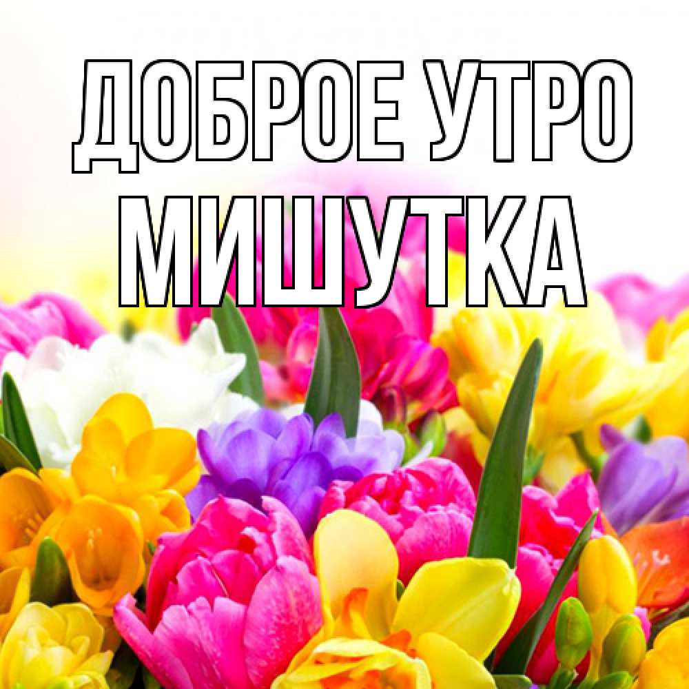 Открытка на каждый день с именем, Мишутка Доброе утро создать открытку со свое подписью Прикольная открытка с пожеланием онлайн скачать бесплатно 