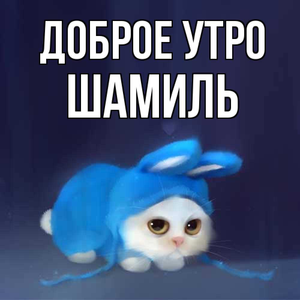 Открытка на каждый день с именем, Шамиль Доброе утро открытки красивые скачать бесплатно Прикольная открытка с пожеланием онлайн скачать бесплатно 