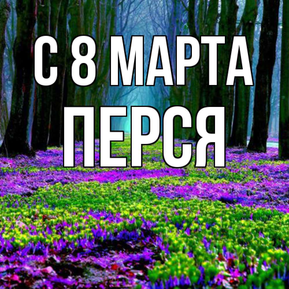Открытка на каждый день с именем, Перся C 8 МАРТА фиолетовые цветы в лесу 1 Прикольная открытка с пожеланием онлайн скачать бесплатно 