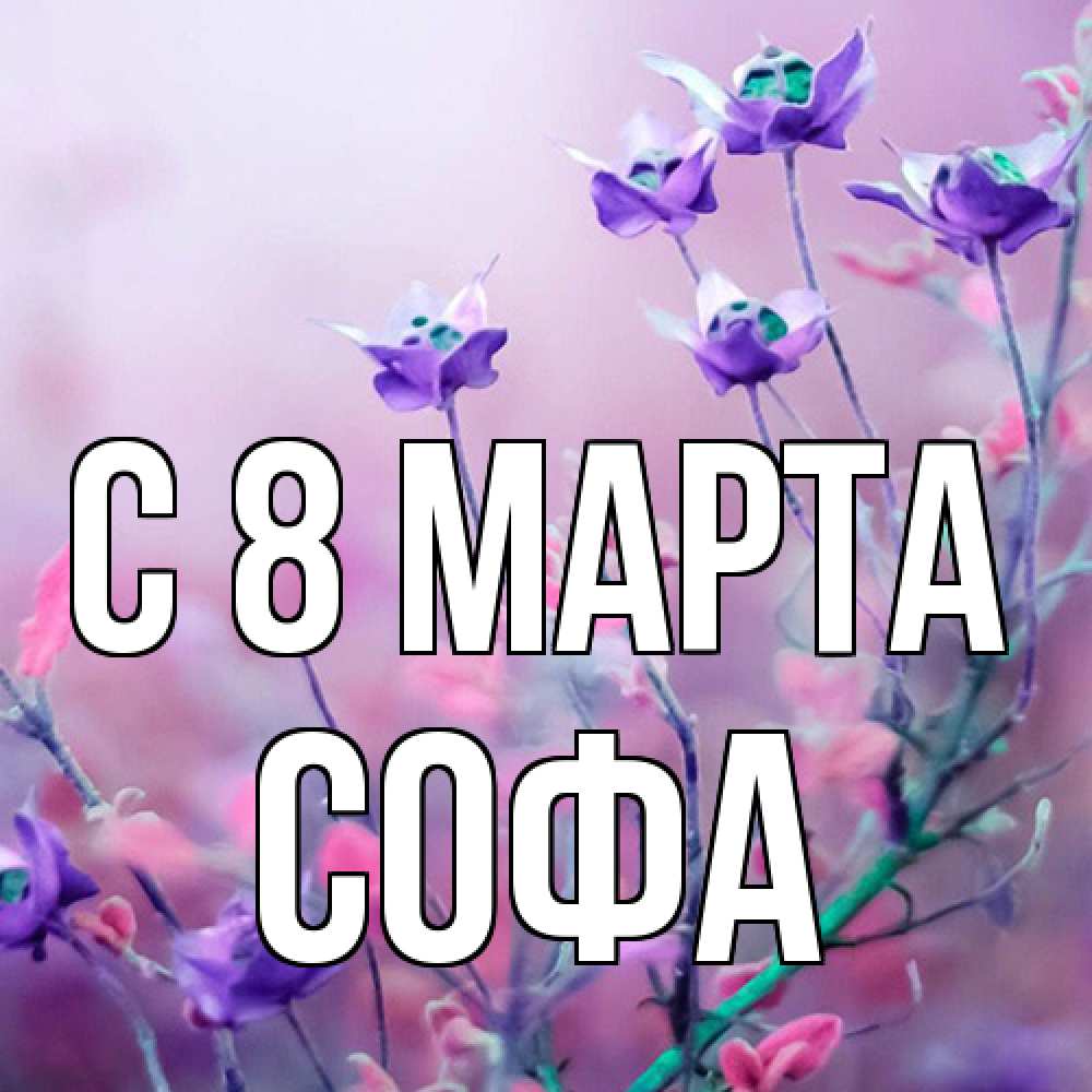 Открытка на каждый день с именем, Софа C 8 МАРТА международный женский день 2 Прикольная открытка с пожеланием онлайн скачать бесплатно 