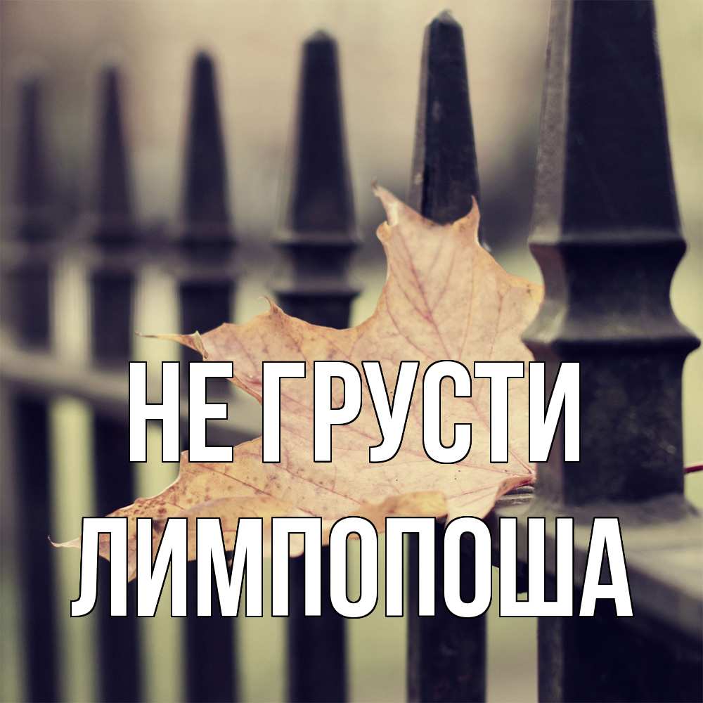 Открытка на каждый день с именем, лимпопоша Не грусти лист клена Прикольная открытка с пожеланием онлайн скачать бесплатно 
