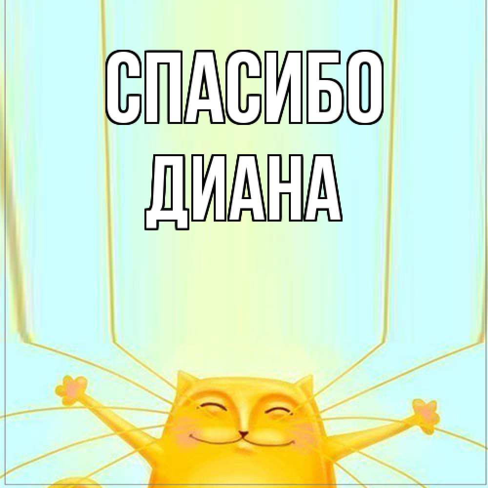 Открытка на каждый день с именем, Диана Спасибо кот с усами благодарит Прикольная открытка с пожеланием онлайн скачать бесплатно 