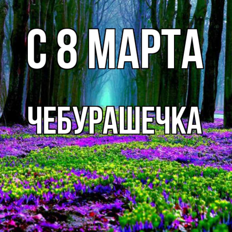 Картинка C 8 МАРТА, Чебурашечка