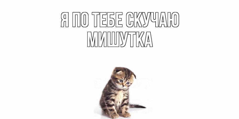 Открытка на каждый день с именем, Мишутка Я по тебе скучаю кот Прикольная открытка с пожеланием онлайн скачать бесплатно 
