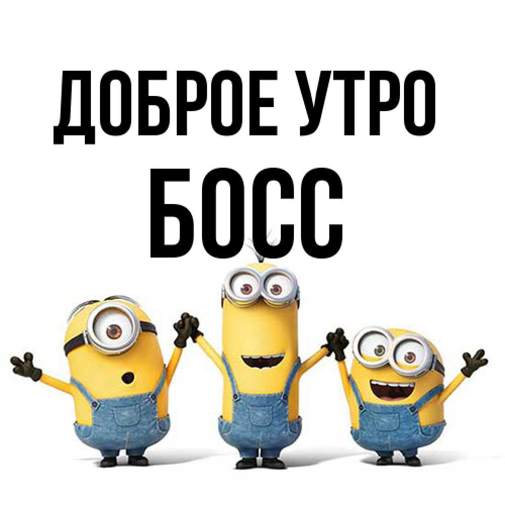 Открытка на каждый день с именем, Босс Доброе утро бодренького утра Прикольная открытка с пожеланием онлайн скачать бесплатно 