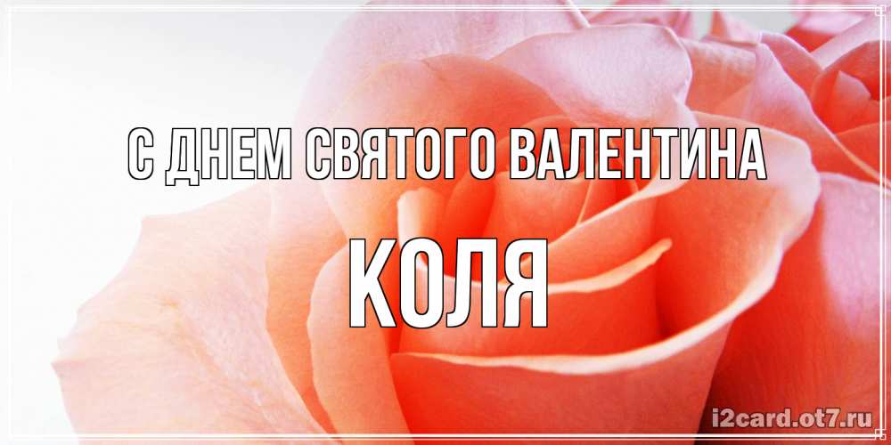 Открытка на каждый день с именем, Коля С днем Святого Валентина открытка на день Святого Валентина с розовой розой Прикольная открытка с пожеланием онлайн скачать бесплатно 